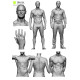 Male Anatomy Bundle 01