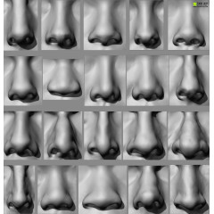 20 x Nose Scan Bundle