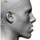 Male 29 Head Scan Cleaned