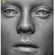 Male 21 Head Scan Cleaned