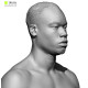 Male 22 Head Scan Cleaned