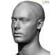 Male 30 Head Scan Cleaned