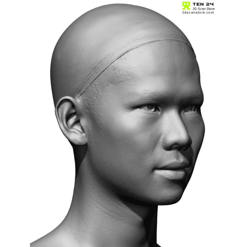 Male 36 Head Scan Cleaned