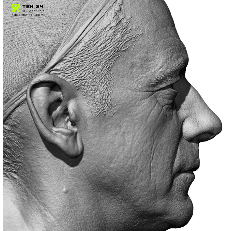 Male 40 Head Scan Cleaned