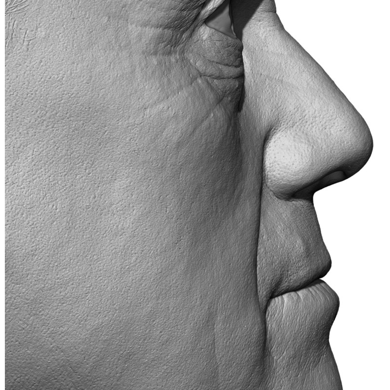 Male 47 Head Scan Cleaned