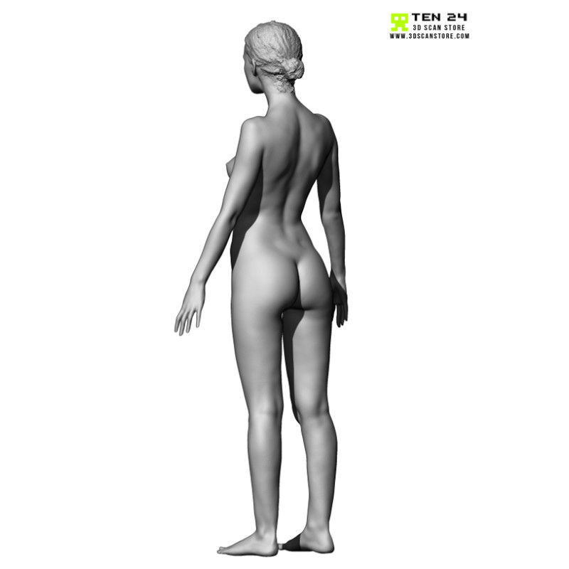 Colour Female Anatomy Bundle