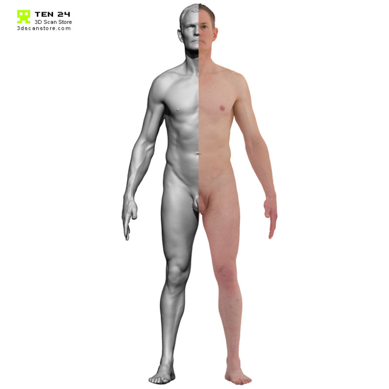 Colour male 04 anatomy bundle 