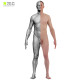 Colour male 04 anatomy bundle 