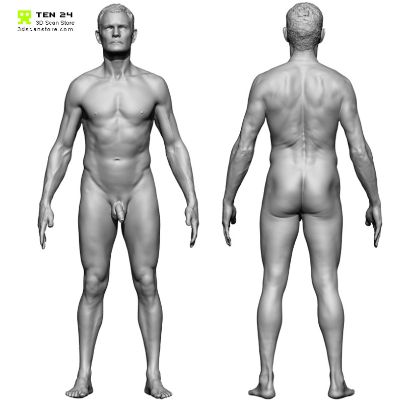 Colour male 04 anatomy bundle 