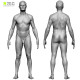 Colour male 04 anatomy bundle 