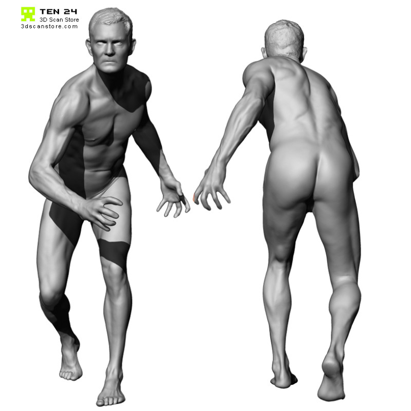 Colour male 04 anatomy bundle 