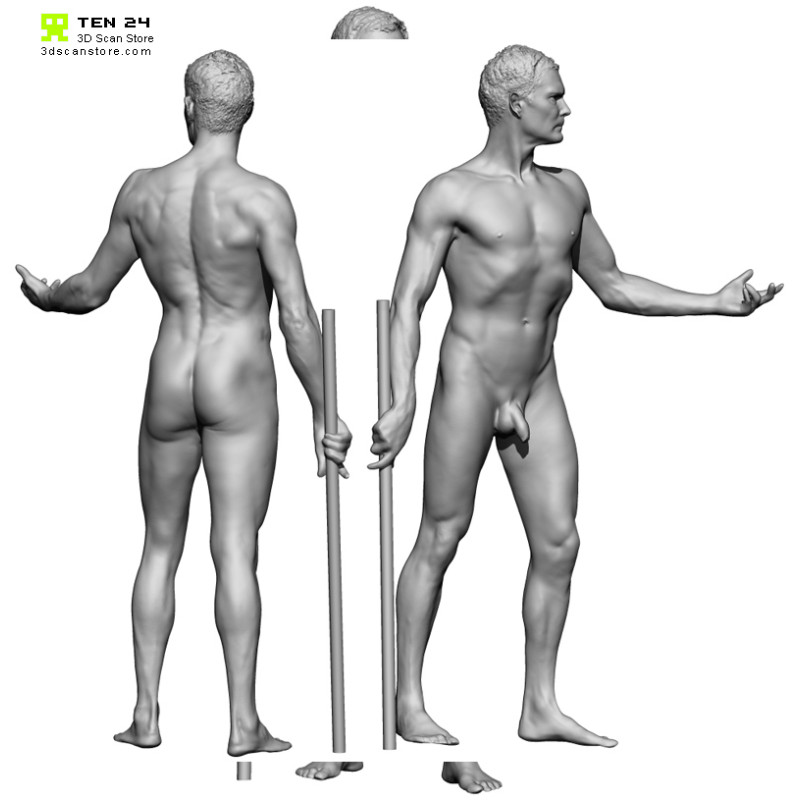 Colour male 04 anatomy bundle 