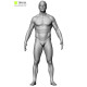 Male Retopology Kit