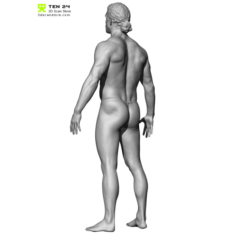 Colour Male Anatomy Bundle