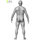 Male Retopology Kit