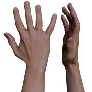 Male 3D Hand Model / White 20 Years Old
