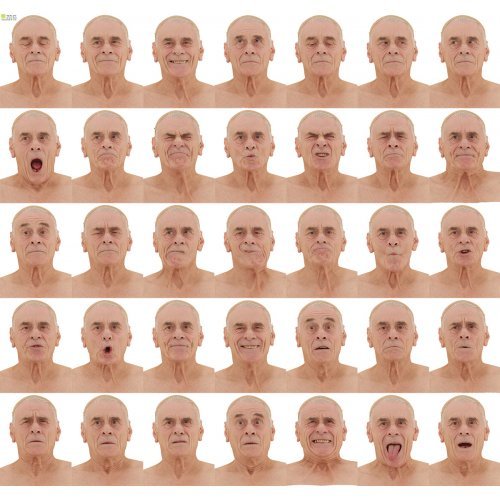 Male 01 36 x Expression Scan Bundle