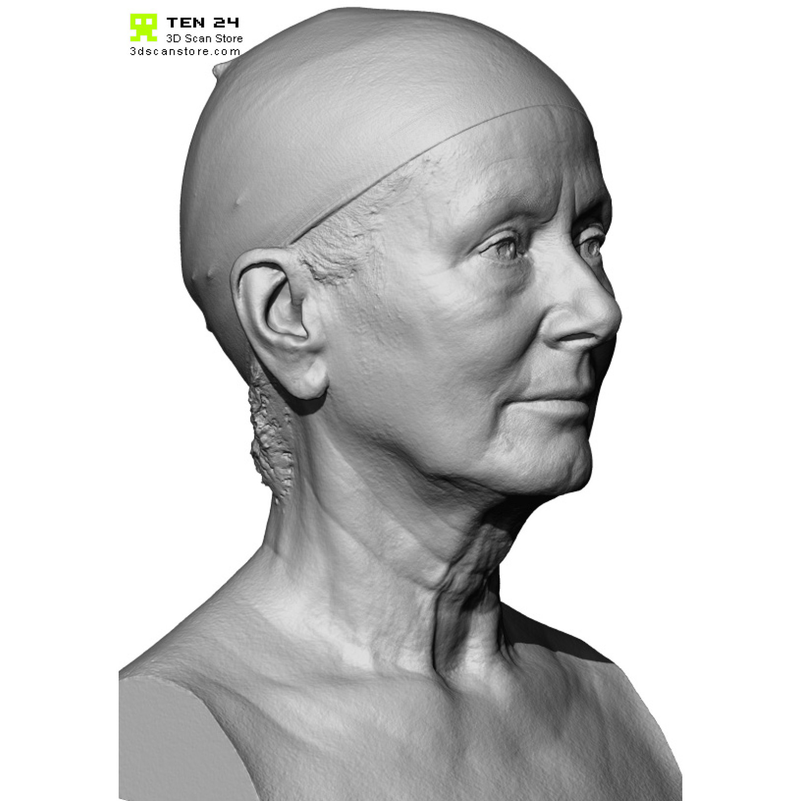Modeling study. 3d scan head. Head scan. Old heads MC.