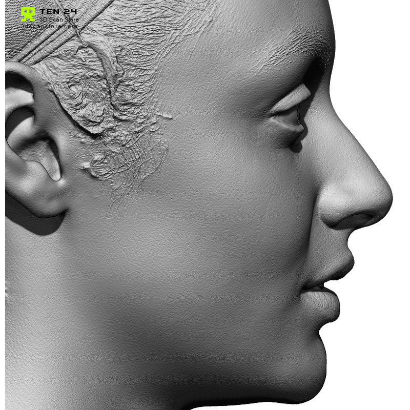 Female 17 Head Scan Cleaned