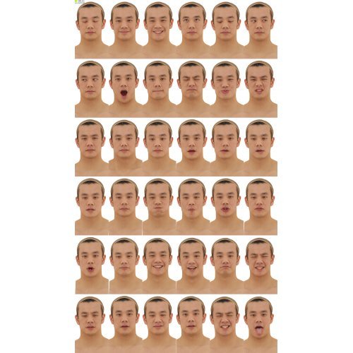 Male 04 38 x Expression Scan Bundle