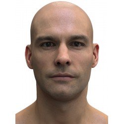 Animation Ready Head Scans