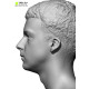 Male 14 Head Scan Cleaned