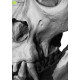 Gorilla Skull 3D Model