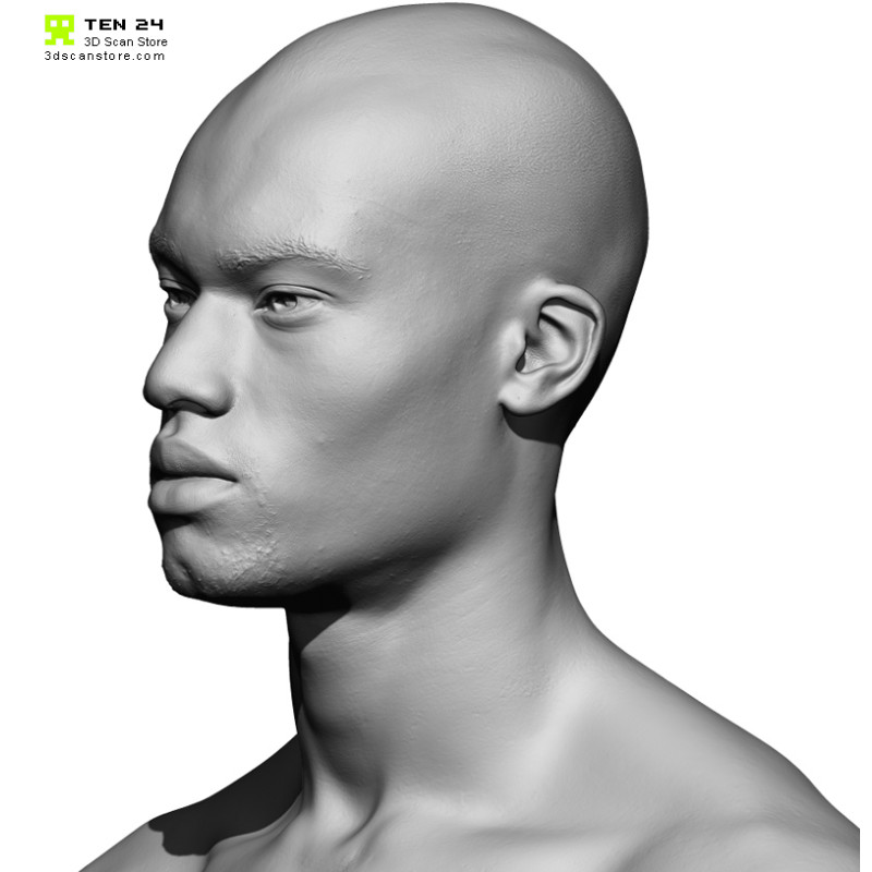 Male 20 Head Scan Cleaned