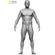 Male Retopology Kit