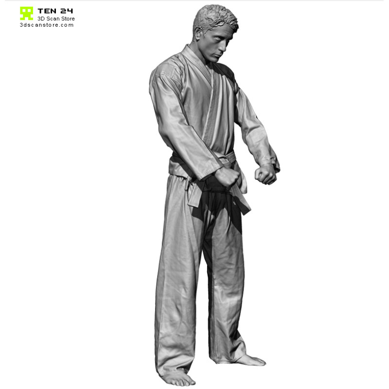 Male Taekwondo Pose 02