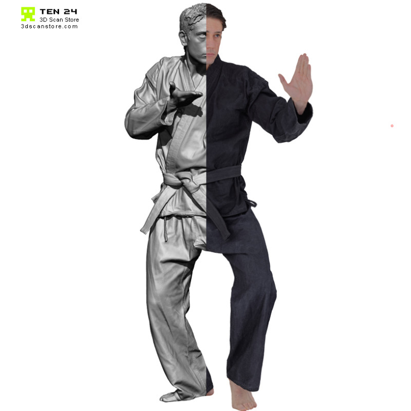 Male Taekwondo Pose 04