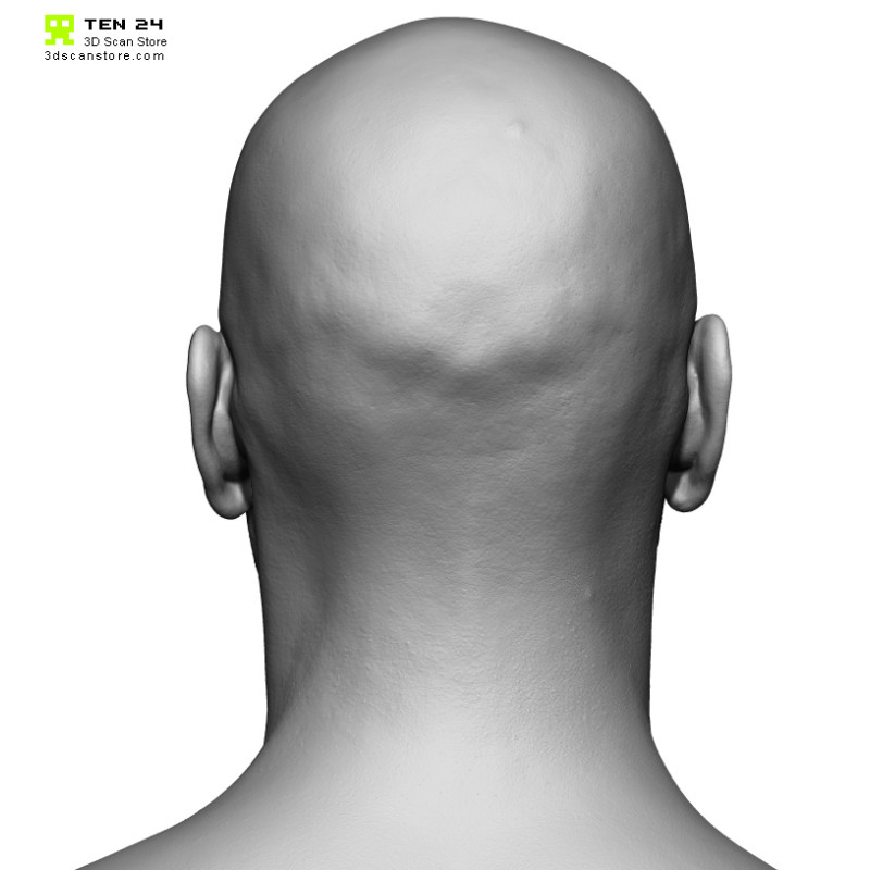 Male 19 Head Scan Cleaned