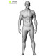 Male Anatomy Bundle 01