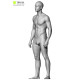 Male Anatomy Bundle 01