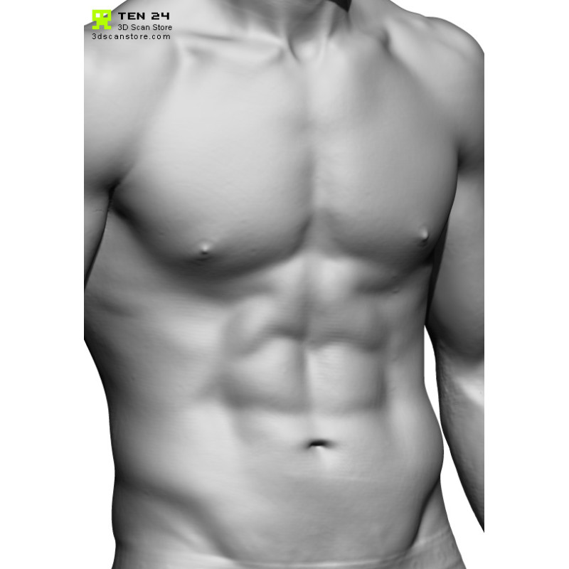 Male Anatomy Bundle 01