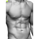 Male Anatomy Bundle 01