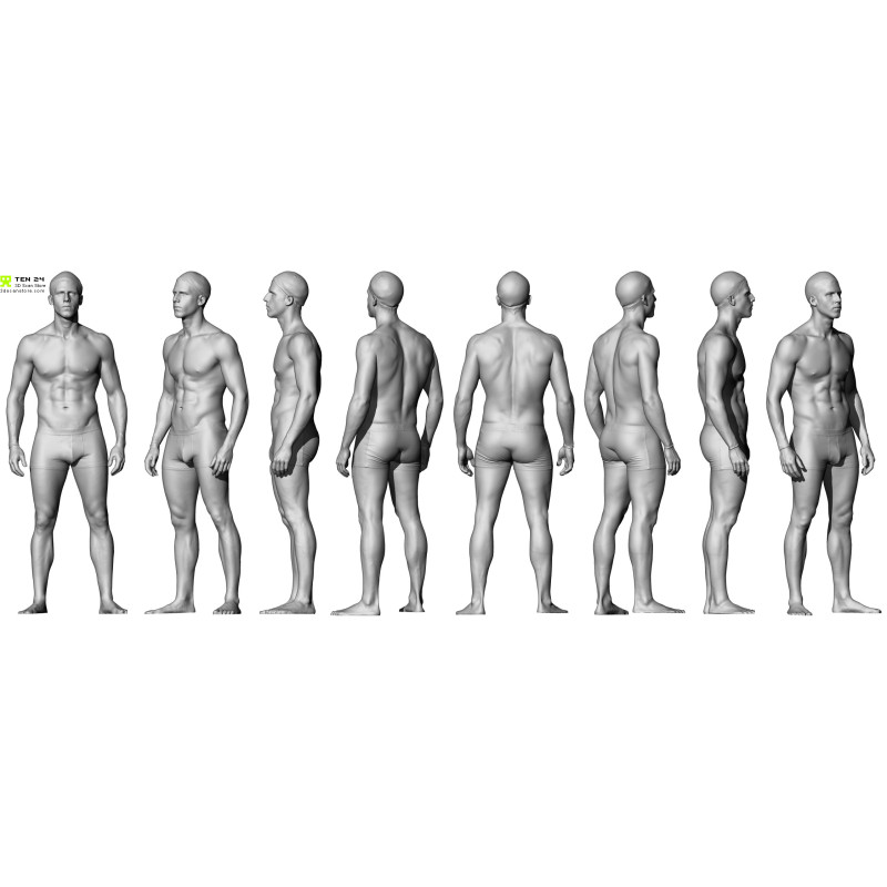 Male Anatomy Bundle 01