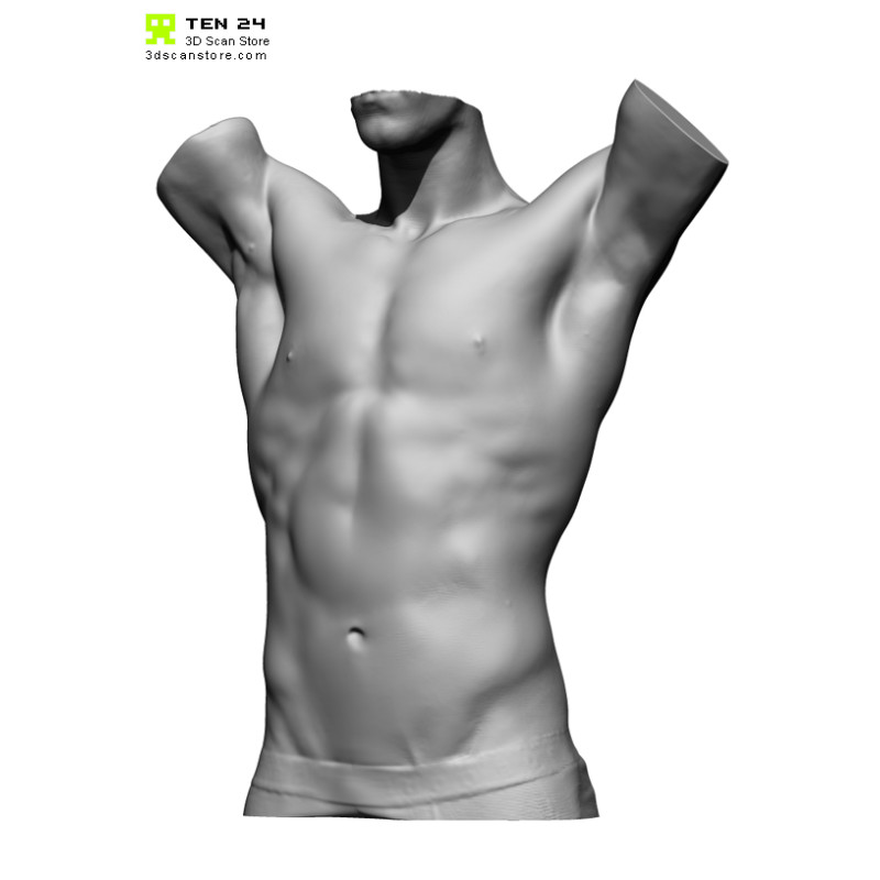 Male Torso Scan Bundle