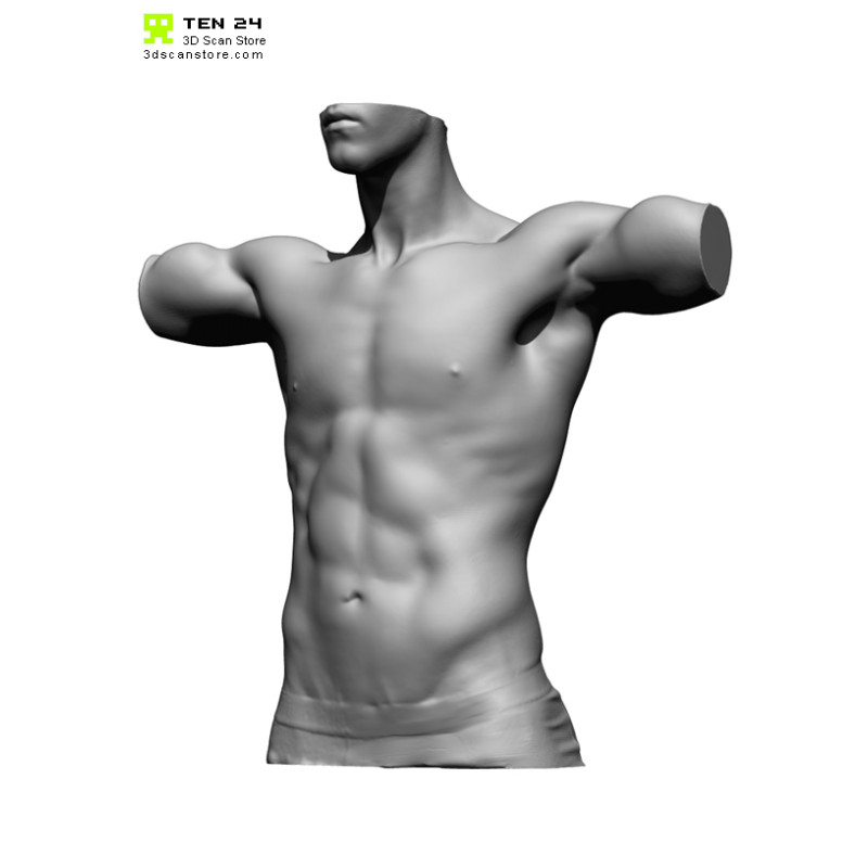 Male Anatomy Bundle 01