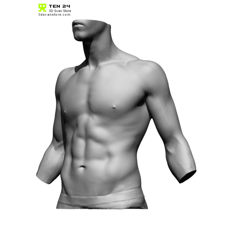 Male Torso Scan Bundle