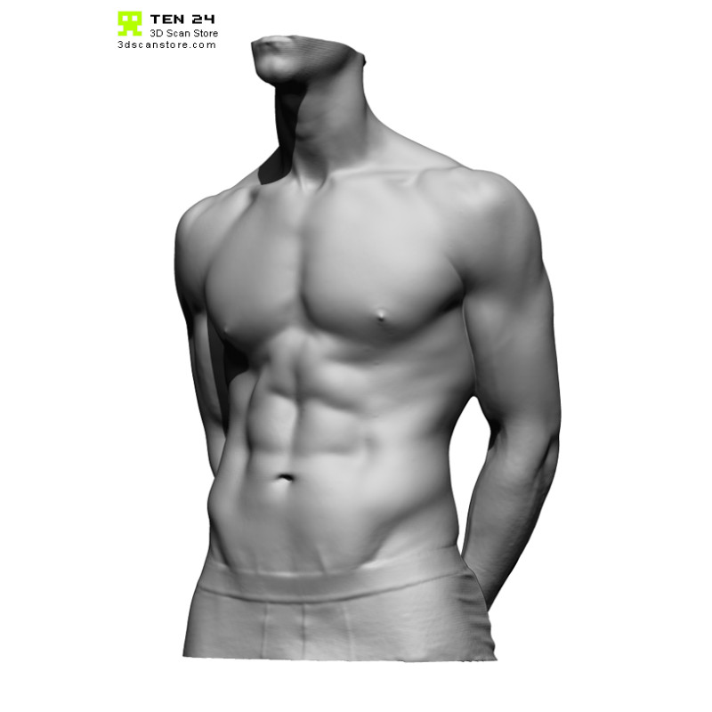 Male Torso Scan Bundle