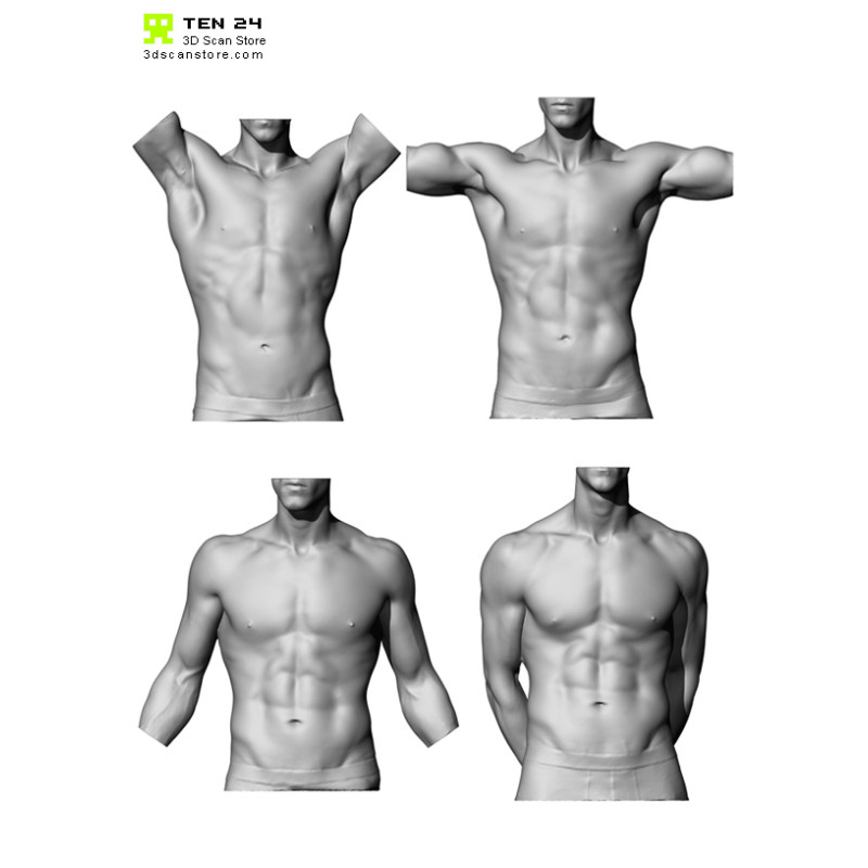 Male Torso Scan Bundle