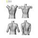 Male Torso Scan Bundle