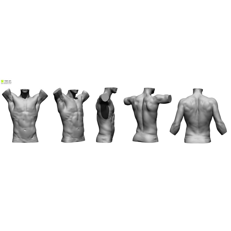 Male Torso Scan Bundle