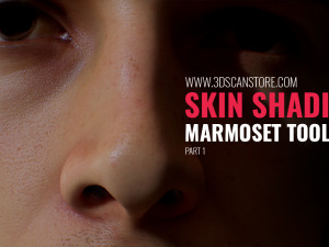 Skin Shading In Marmoset Toolbag