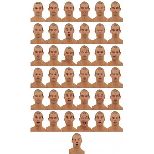 Male 05 37 x Expression Scan Bundle