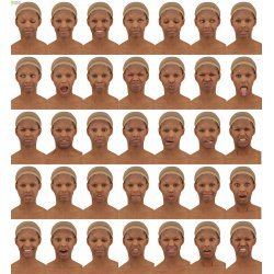 Female Expression Bundles