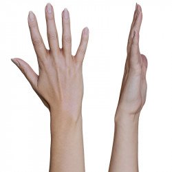 Female Hands