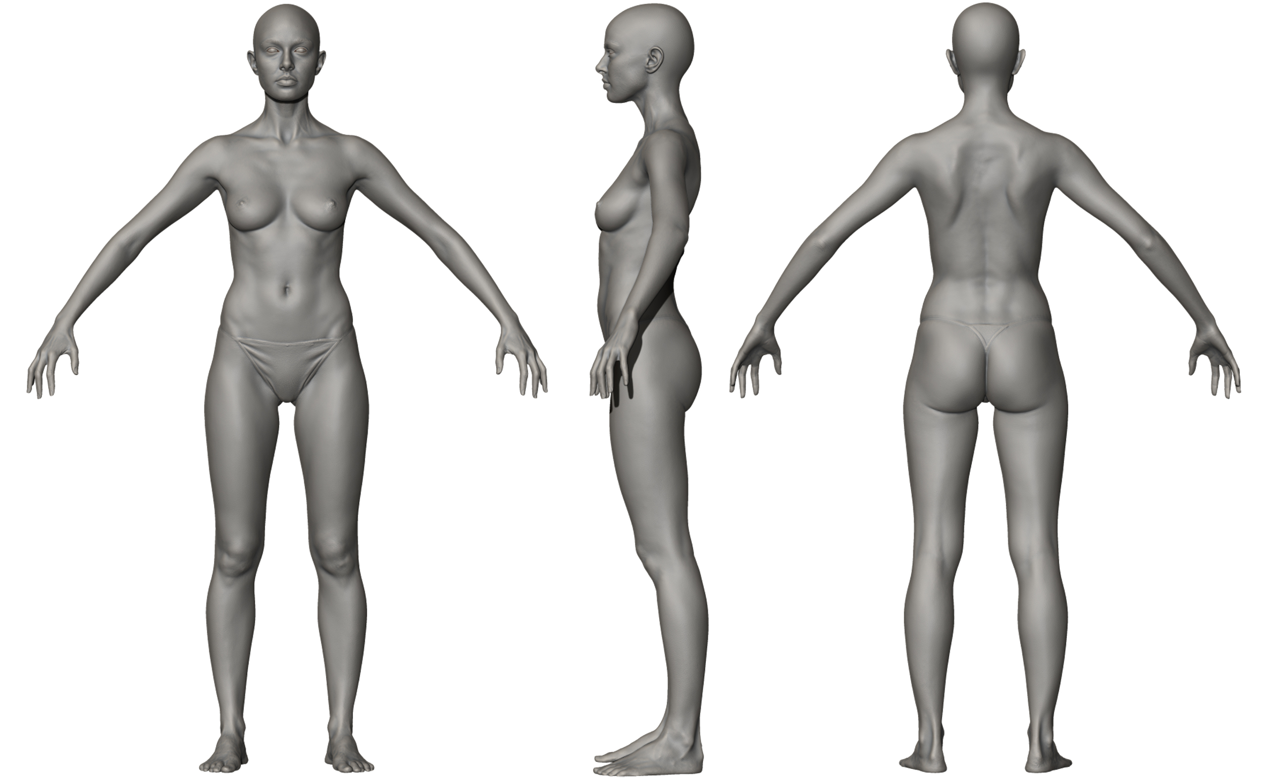 female body 3d model - www.arcgeneralcontract.com.