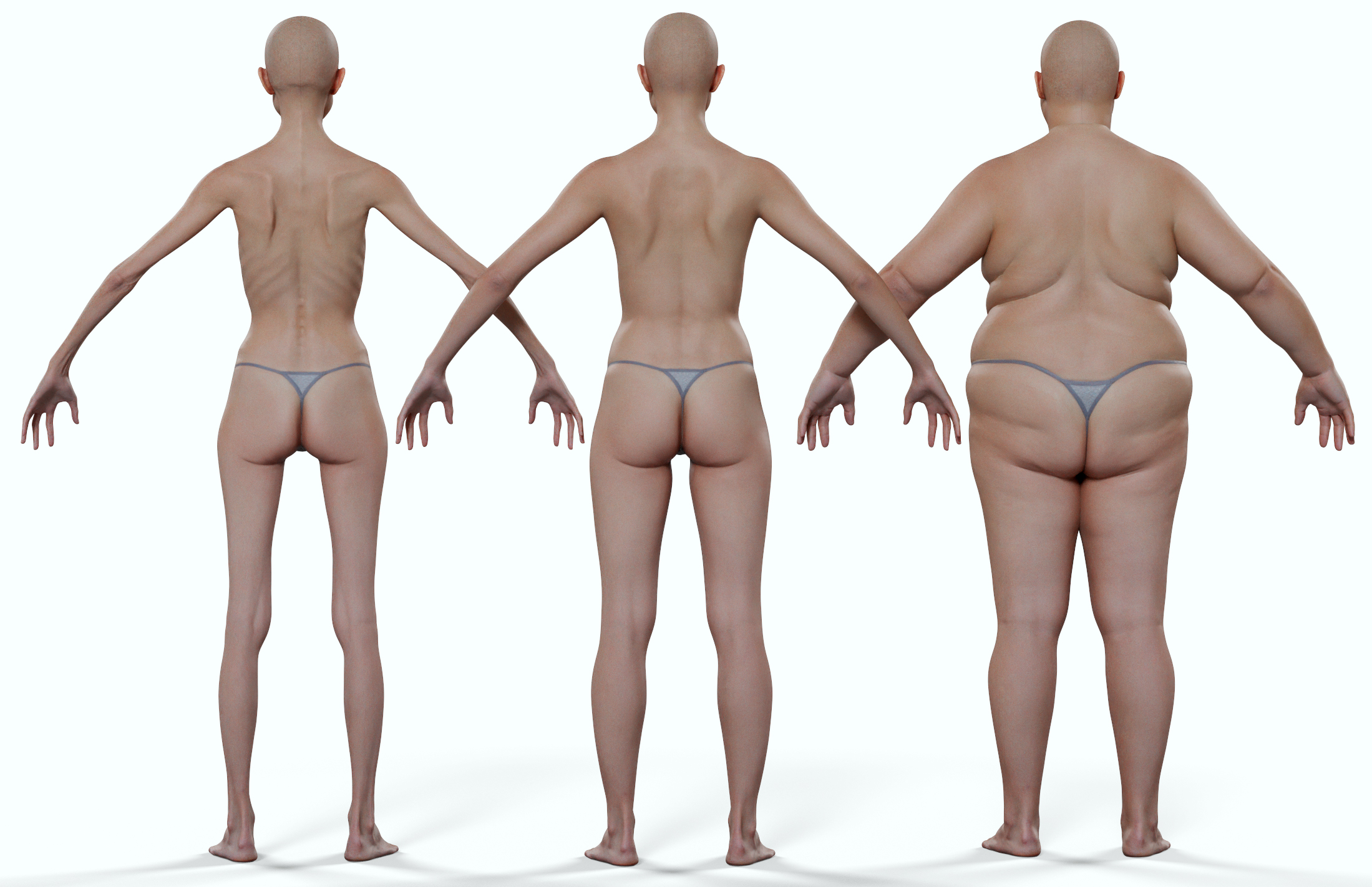 Download female 3d body model 